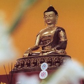 8. Mezinárodní meditační kurz Povrly
