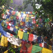 Losar 2017